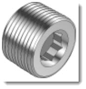 HOLLOW HEX PLUG, 1/4" NPT, S316
