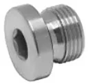 BLANKING PLUG WITH ED RING, 1/2" BSPP, S316